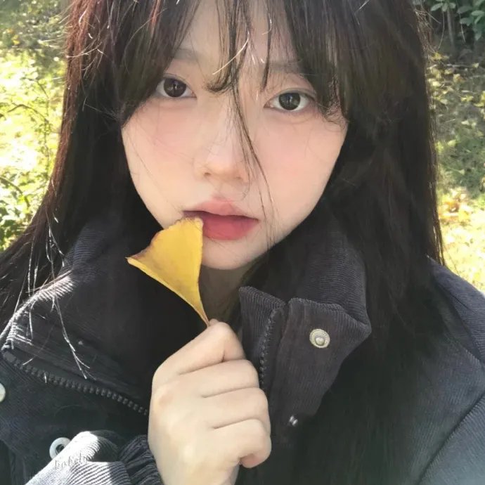 村长趣哪鹅